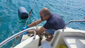 Dubrovnik: Ostron-, mussel- och vinprovningstur i Ston