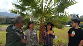 Athene: filosofische workshop in het Lyceum van Aristoteles