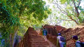 Vanuit Negombo: Dagtrip Sigiriya en Dambulla