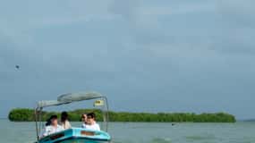 Negombo Lagoon (Mangrove ) Boat Excursion