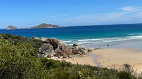 From Melbourne: Wilsons Promontory Wilderness Tour