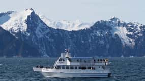 Seward: Spring Wildlife Guided Cruise