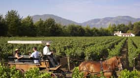 From Santiago: Private Colchagua Valley Wine Tour w/ Tasting