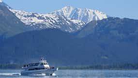 Seward: Resurrection Bay Orca Quest Cruise