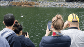 Ketchikan: Wilderness Boat Cruise and Crab Feast Lunch