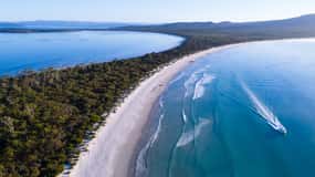 Triabunna : excursion en bateau de l'île Maria et de l'île Des Phoques