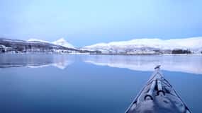 Tromsø: Winter Sea Kayaking Tour with Wildlife Sightings