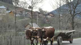 CJ04 - Avventura a Maramureș: tradizione, arte popolare e bellezza paesaggistica