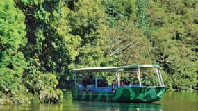 Daintree River Rainforest: Crocodile & Wildlife Cruises (DG)