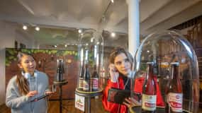 Bruges: The Beer Experience Museum Entry with Audio Guide