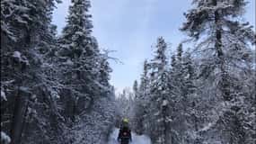 Yellowknife: passeio de moto de neve no interior com equipamento de inverno