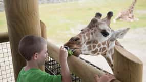 Columbus: Multiple Attractions Pass