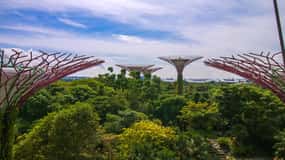 Singapore: Gardens by the Bay Bundle Entry Ticket