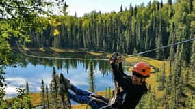 Talkeetna: Denali Zipline Tours
