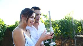 De Biograd : Dégustation de vin et d'huile d'olive à Ražnjevića Dvori