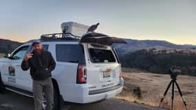 Gardiner: Yellowstone National Park Wildlife Guided Tour