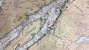 Ketchikan: Marine Wildlife and Whale Watching Boat Tour