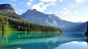 Banff: Waterfalls Tour in Banff & Yoho National Parks