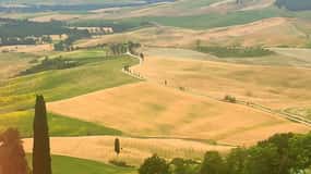 Da Firenze: Tour privato di degustazione di vini della Val d'Orcia