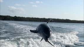 Islamorada: Multi-Activity Private Boat Charter