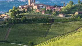 Neive: Cycling Tour from Neive to Barbaresco