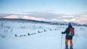 Desde Tromsø: Excursión guiada con raquetas de nieve y visita al campamento de los huskys