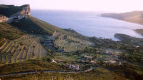 Marsella Vieux Port & Cata de Vinos - Tour privado