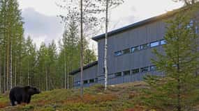 Finnland: Bärenbeobachtung, Nachtfahrt
