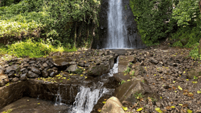 Kingstown: Cascading Dark View Falls and Beach Tour