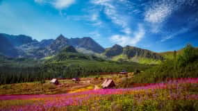 Zakopane: Private City Tour