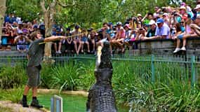 Somersby: Australian Reptile Park Day Pass - kl. 9-17