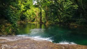 Efate : Excursion dans la nature tropicale avec baignade