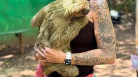 Roatan Monkey and sloth, Chocolate & Rum tasting beach Break
