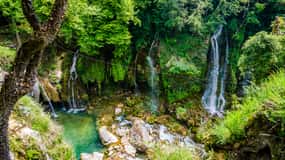 From Nice: Flower Fields & Saint Cassien Lake Full-Day Trip