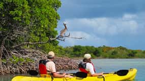 St. Thomas: Bird Island Sunset Kayak Adventure