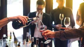 From Yerevan: Private Wine Tour, WineYard visit, Wine museum