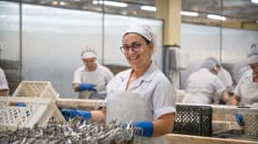 Matosinhos: Conservas Pinhais Factory Tour