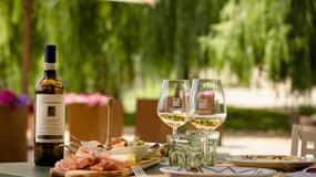 San Gimignano: tour pela vinícola com degustação de vinhos e almoço
