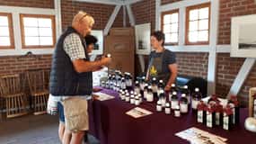 Stralsund: Factory Tour with Fermented and Organic Tastings