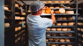 Pienza: Dairy Farm Tour with Pecorino Cheese Tasting