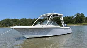 Hilton Head: Tour particular de 2 horas com golfinhos