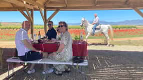 From Bilbao: Two Rioja Wineries Day Trip with Picnic Lunch