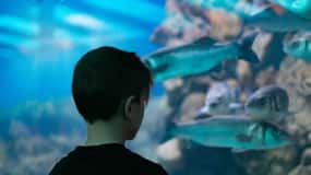 Corfu: Aquarium Entry Ticket with Guided Tour