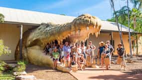 Broome: Malcolm Douglas Crocodile Park Tour with Transfers
