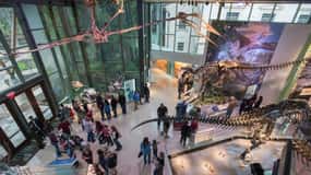 San Antonio: Witte Museum Admission Ticket