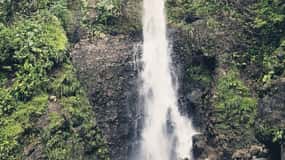Roseau: Middleham Falls and Titou Gorge Half-Day Hiking Trip