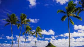Hidden Gems of Oahu Circle Island Tour with Byodo-In Temple