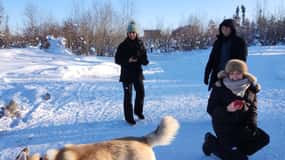 Yellowknife: passeio de trenó puxado por cães