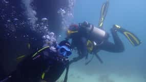 Lisbon: Try Dive in Arrábida Marine Reserve Setubal Sesimbra