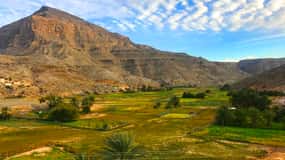 From Khasab: Snorkeling and Jebel Harim Mountain Tour